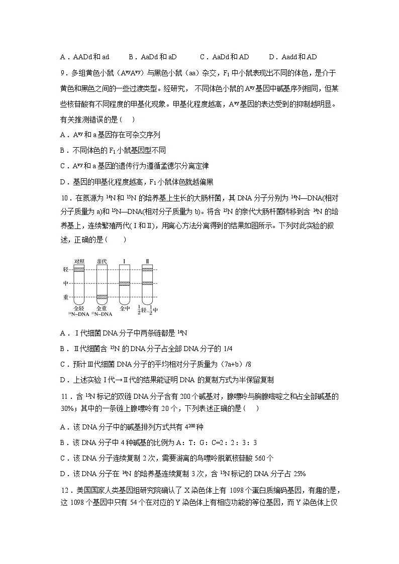 河南镇平县第一高级中学2025-2026学年高三下学期开学生物试题含答案第3页