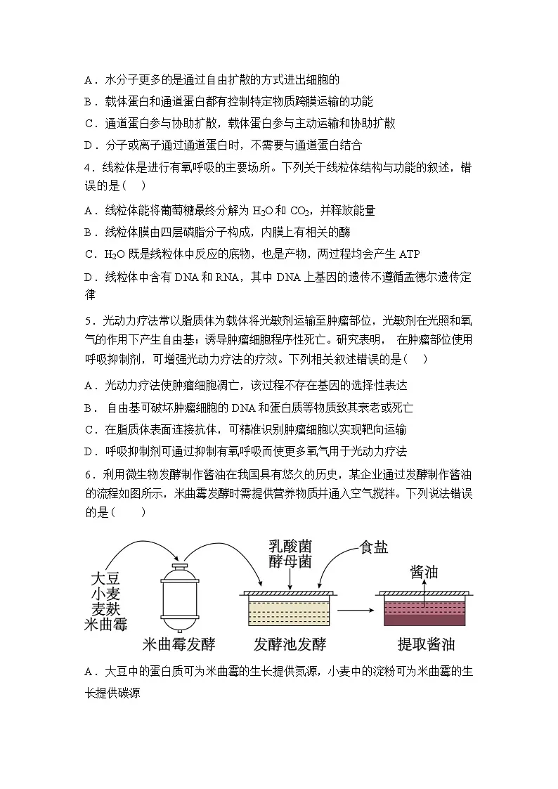 河南省普通高中2025-2026学年高三下学期开学生物试题含答案第2页