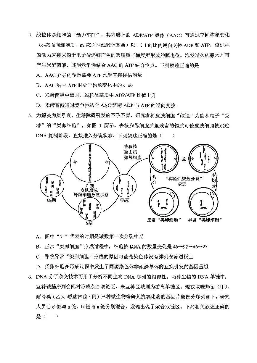 重庆西南大学附中高2026届高三下3月定时检测 生物第2页