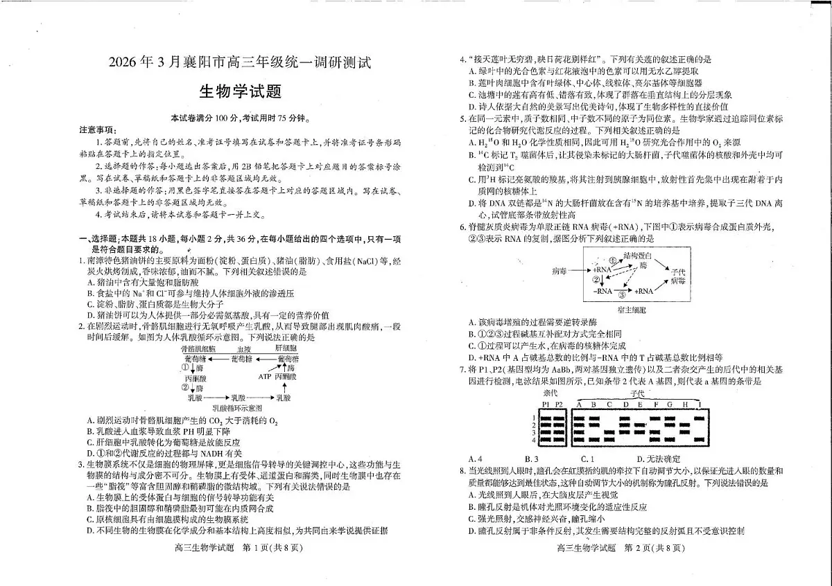 2026年3月襄阳市高三年级统一调研测试 生物第1页