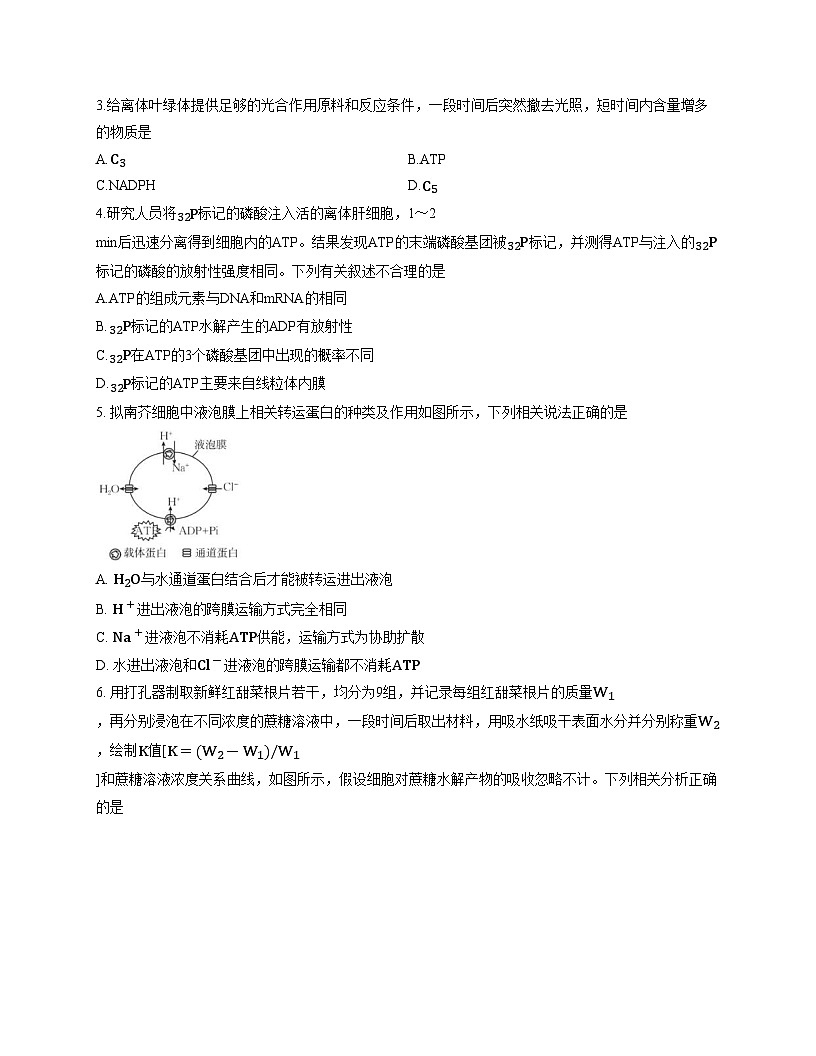 河南省南阳地区2025_2026学年高三上学期期中摸底生物试卷(26_98C)(文字版,含答案)第2页