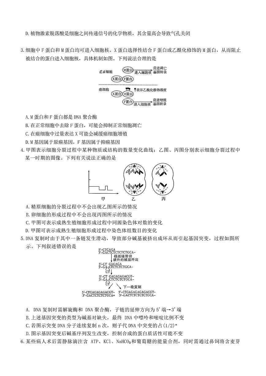湖南省雅礼中学2026届高三下学期3月考试卷(七)生物试卷无答案第2页