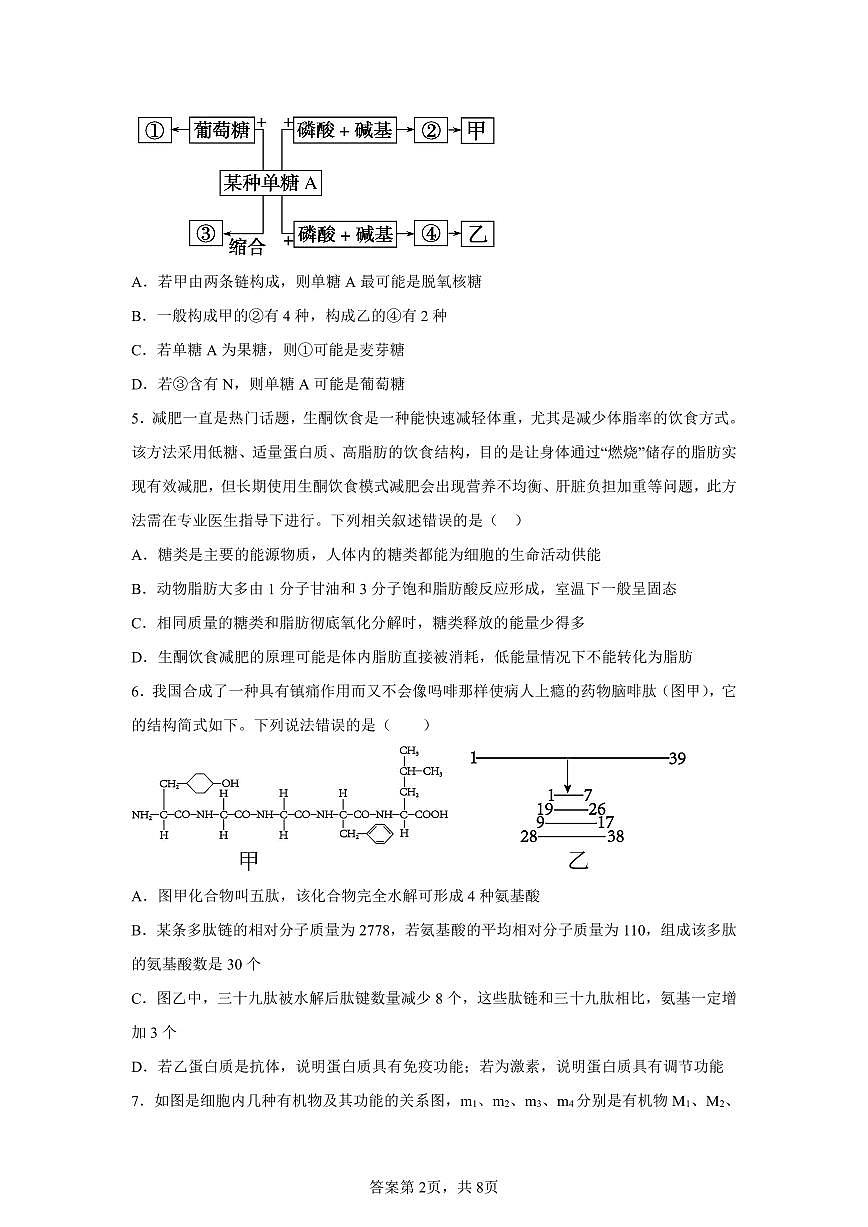 2025-2026学年度高中生物期中考试卷第2页