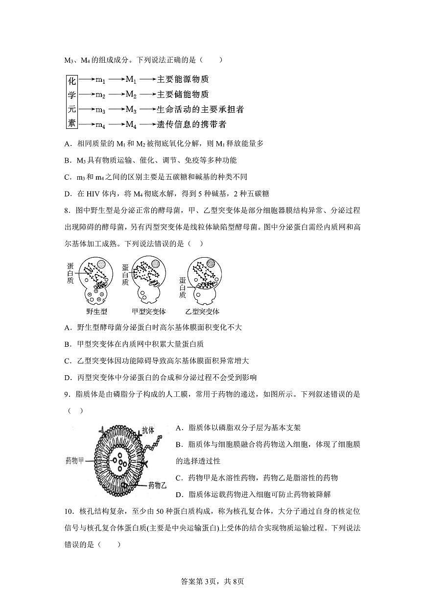 2025-2026学年度高中生物期中考试卷第3页