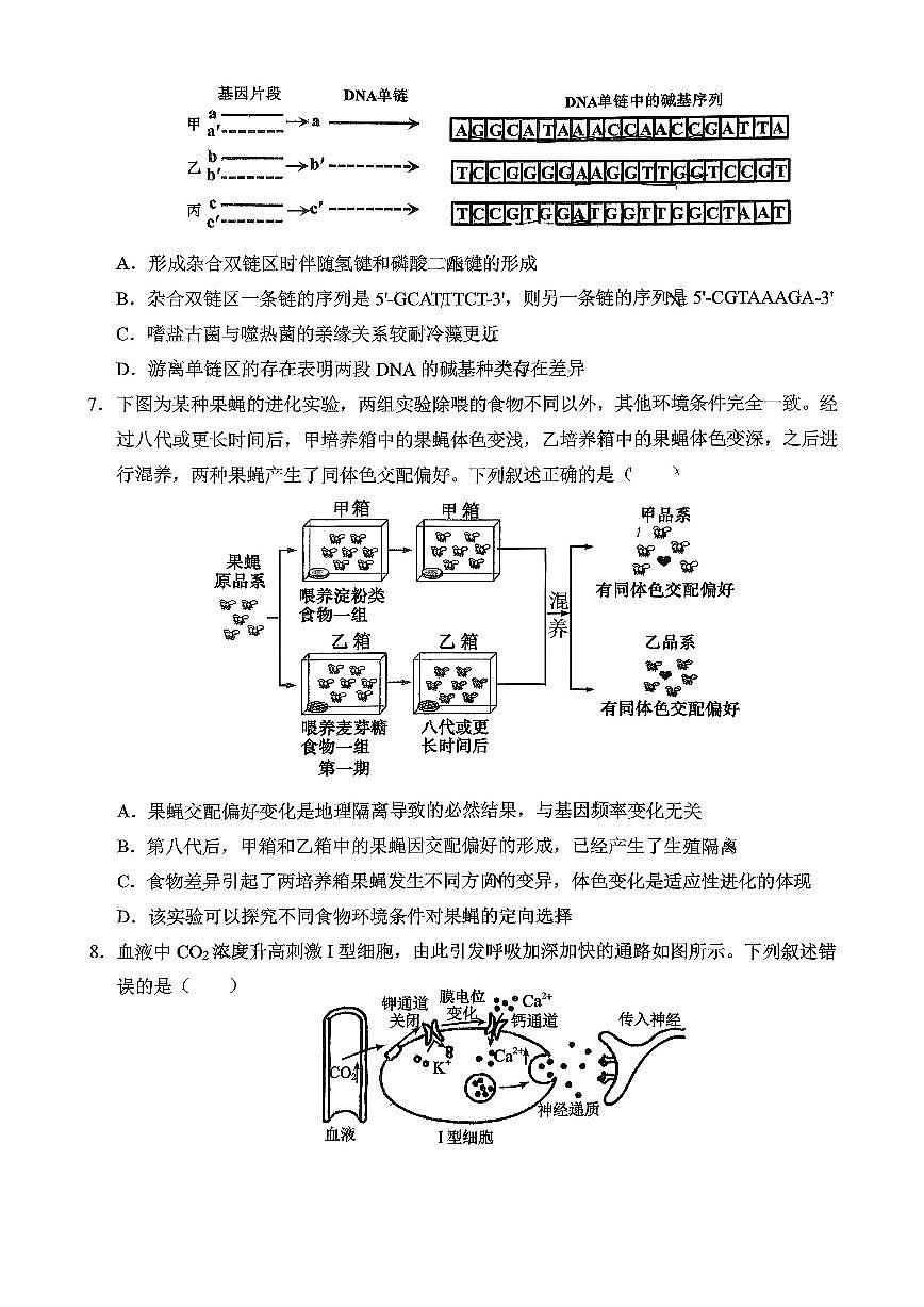 生物-重庆西南大学附中高2026届高三下3月定时检测试卷及答案第3页