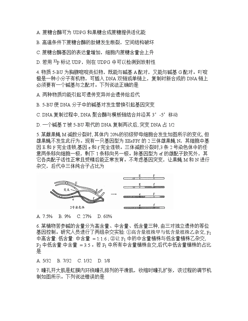 山东省日照2026年高三高考一模生物学试卷含答案第2页