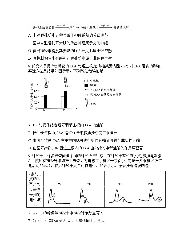 山东省日照2026年高三高考一模生物学试卷含答案第3页