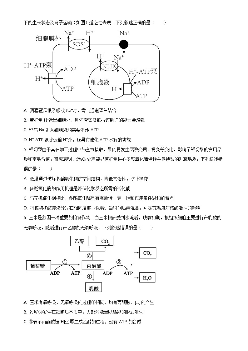 广东省部分学校高一下学期3月联考生物试题-A4第2页