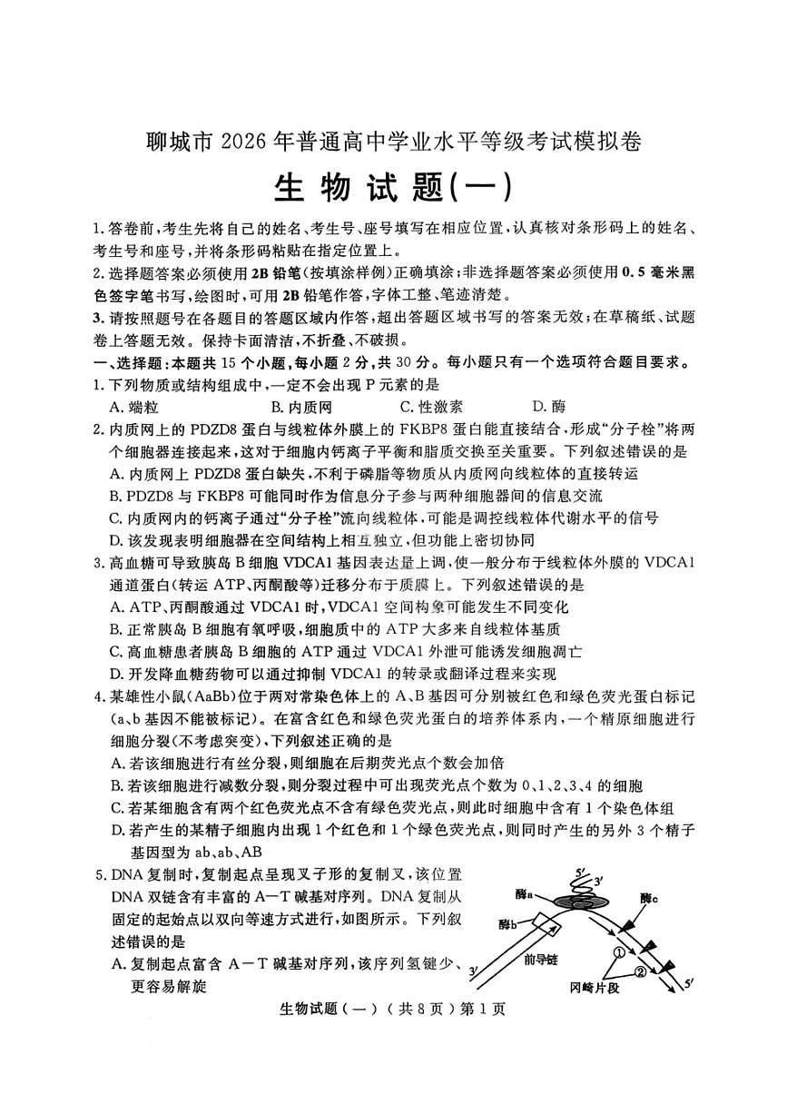 生物-山东省聊城市2026年3月高考模拟考试(一)(聊城一模)试卷及答案第1页