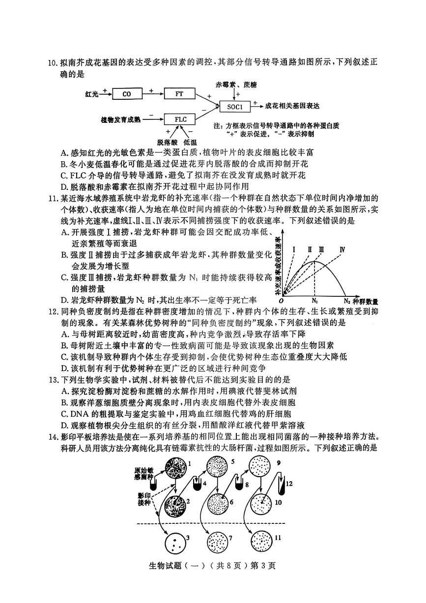 生物-山东省聊城市2026年3月高考模拟考试(一)(聊城一模)试卷及答案第3页