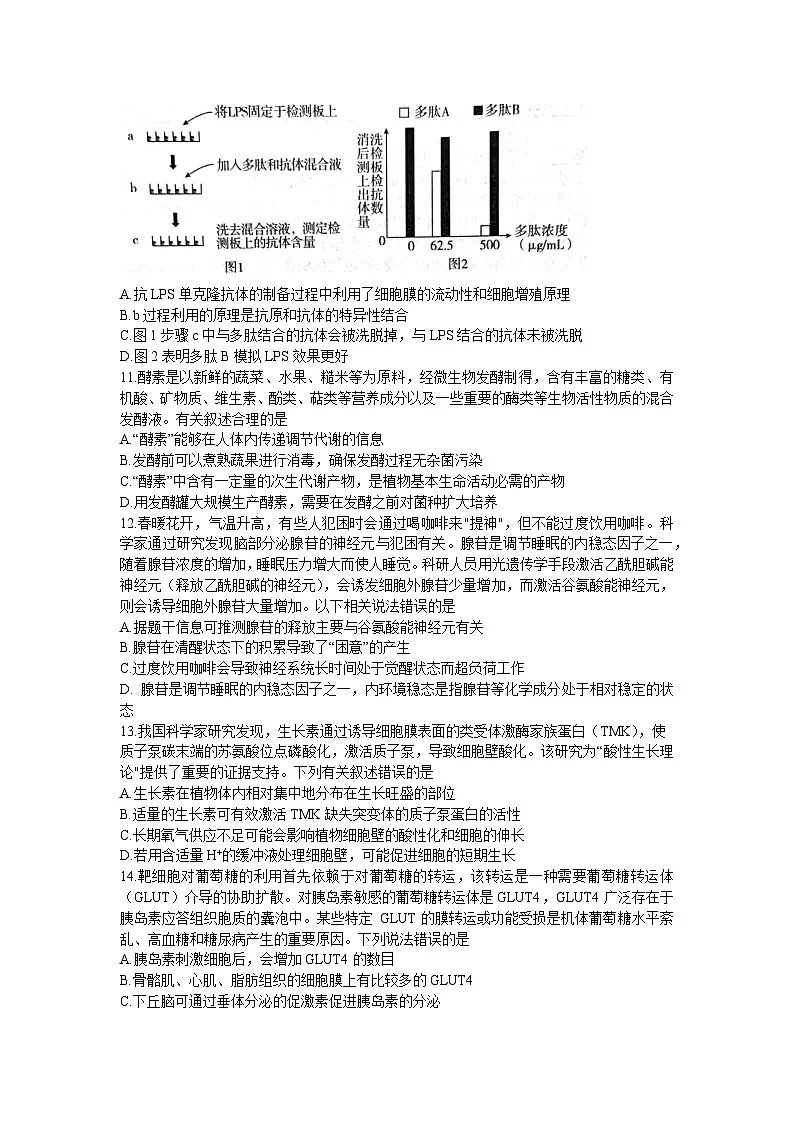 山东省新高考2022-2023学年高三下学期3月联合质量测评 生物试题 附答案第3页