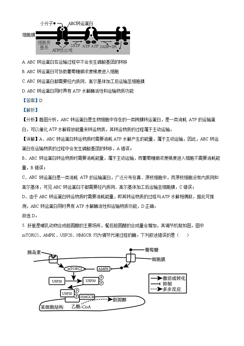 山东省聊城市2021-2022学年高二下学期期末生物试题 附解析第3页