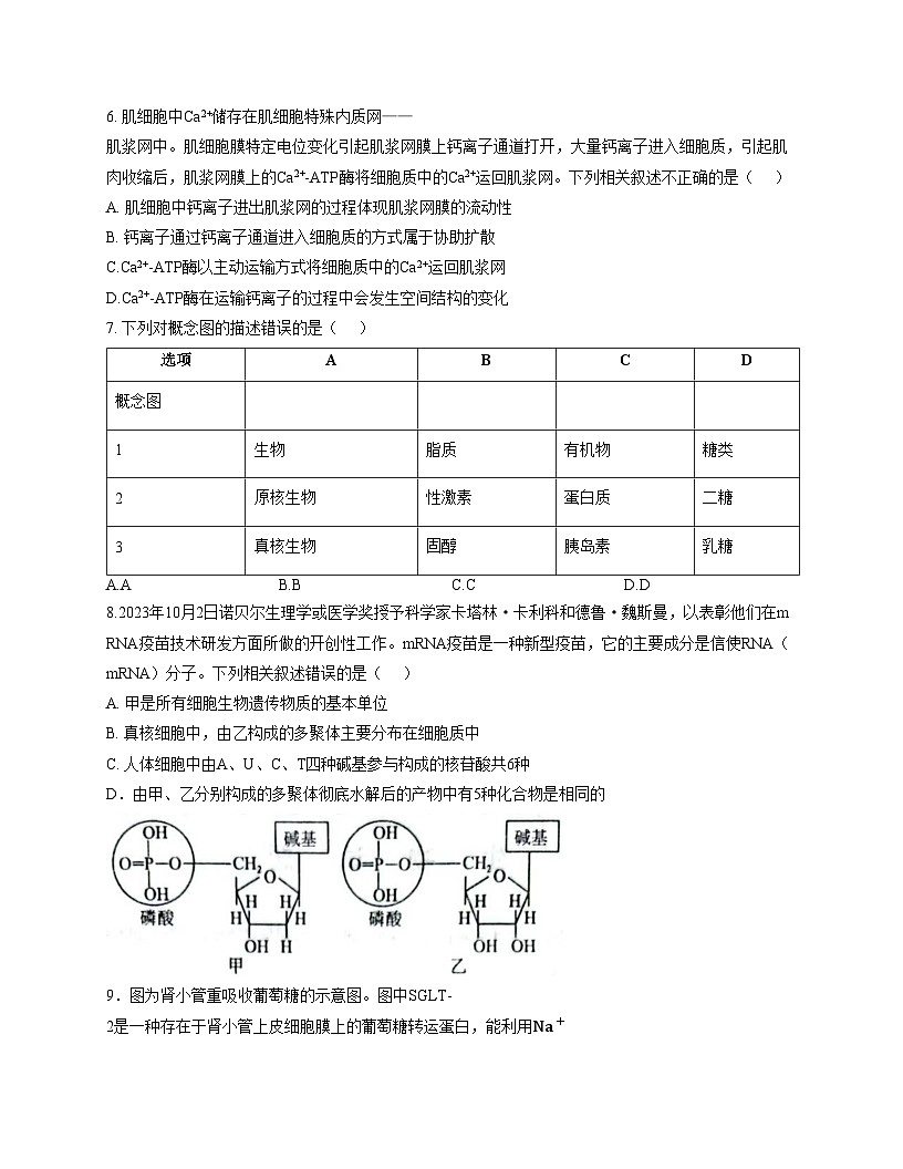 吉林省长春市十一高中2025_2026学年高一上学期月考生物试题(文字版,含答案)第3页