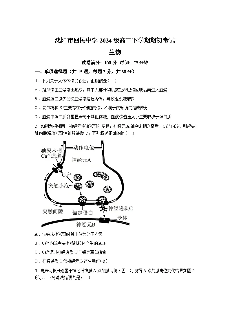 辽宁省沈阳市和平区沈阳市回民中学2025-2026学年高二下学期开学考试生物试题-含答案第1页