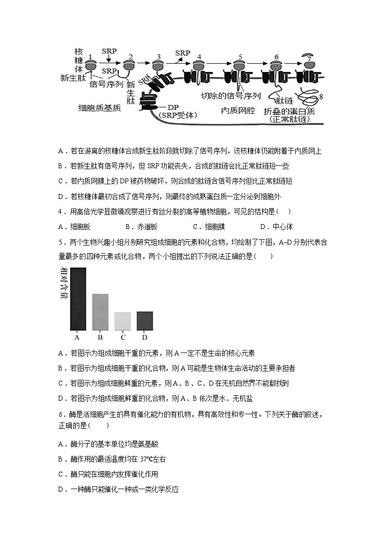辽宁省辽西重点高中2025-2026学年高一下学期开学考试生物试题含答案第2页