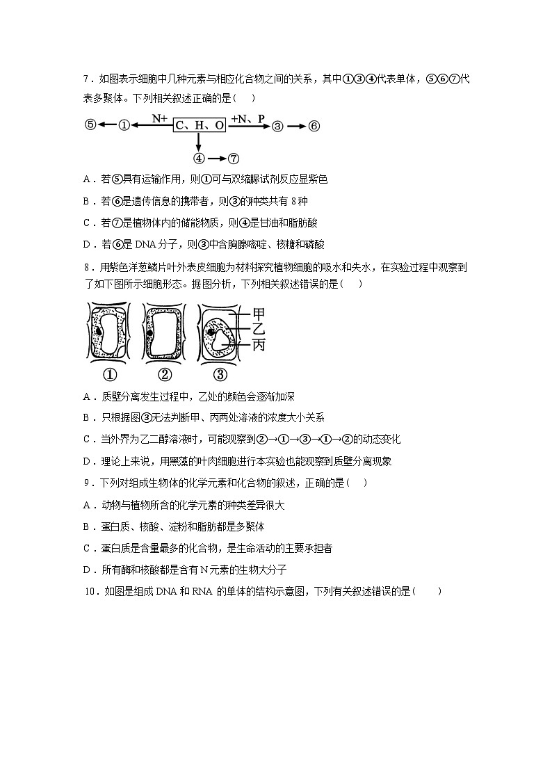 辽宁省辽西重点高中2025-2026学年高一下学期开学考试生物试题含答案第3页