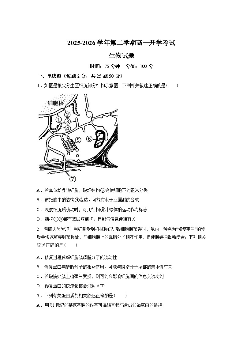 内蒙古鄂尔多斯市第一中学2025-2026学年高一下学期开学考试生物试题含答案第1页