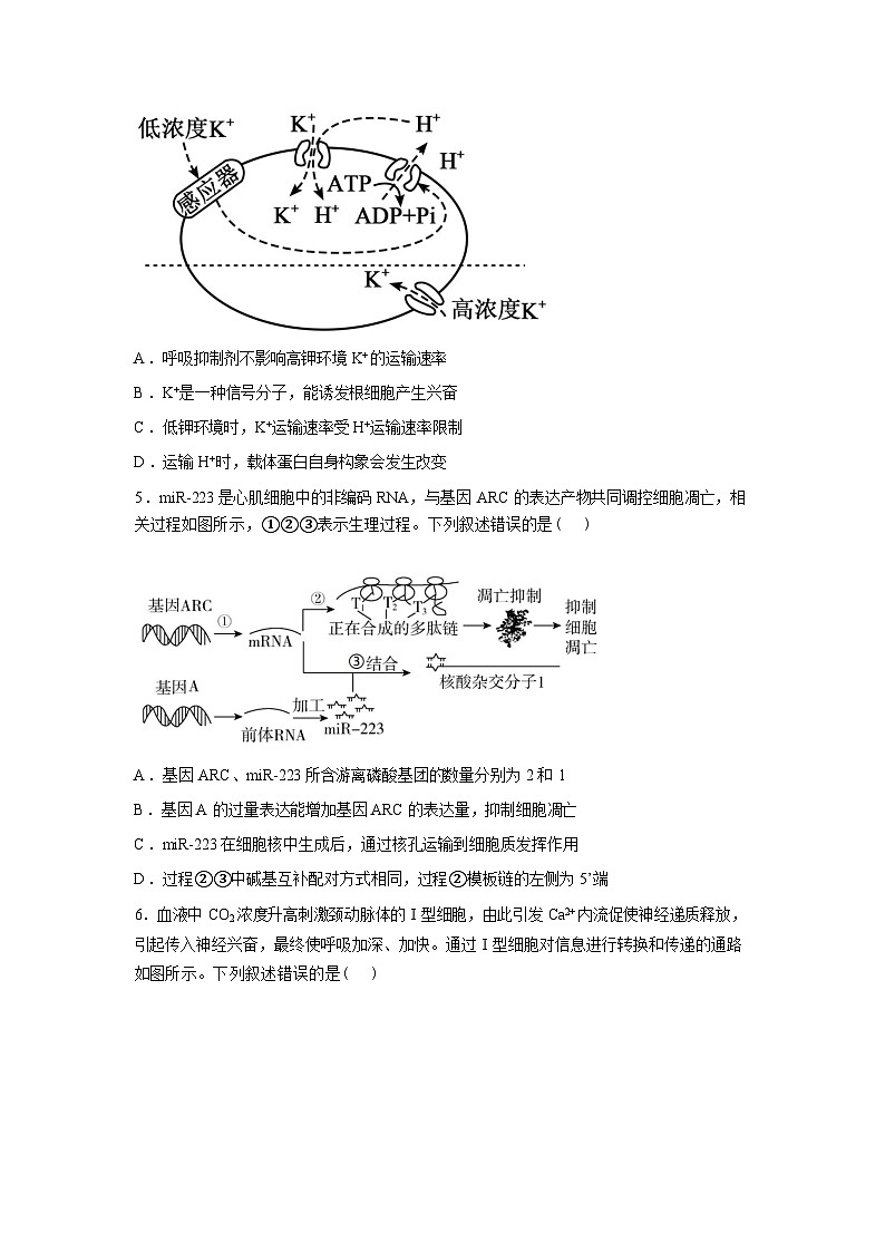 辽宁鞍山市海城市高级中学2025-2026学年高三下学期开学考试物学试卷含答案第2页