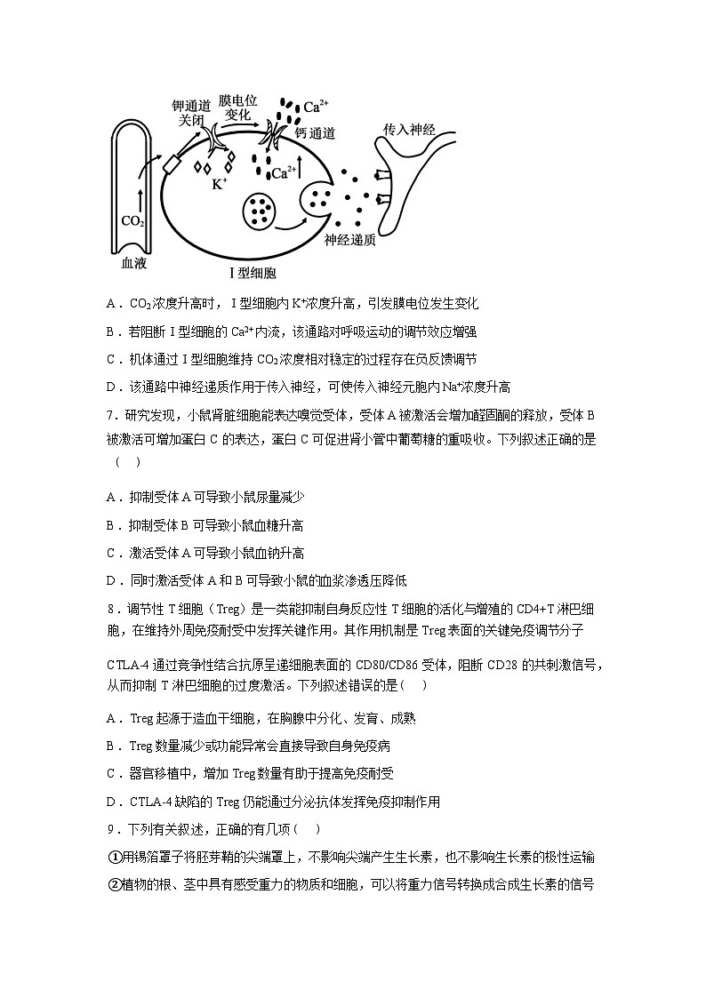 辽宁鞍山市海城市高级中学2025-2026学年高三下学期开学考试物学试卷含答案第3页