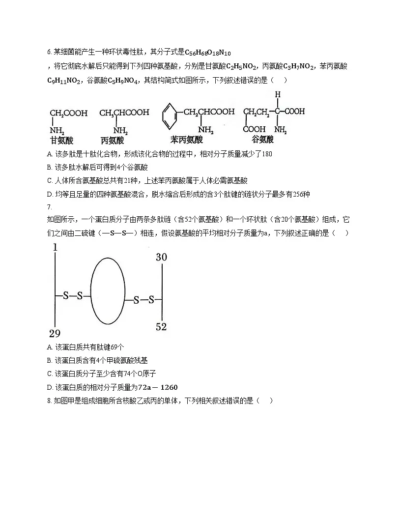 安徽省安庆市桐城中学2025_2026学年高一上学期第二次学情调研(期中)生物试卷(文字版,含答案)第3页