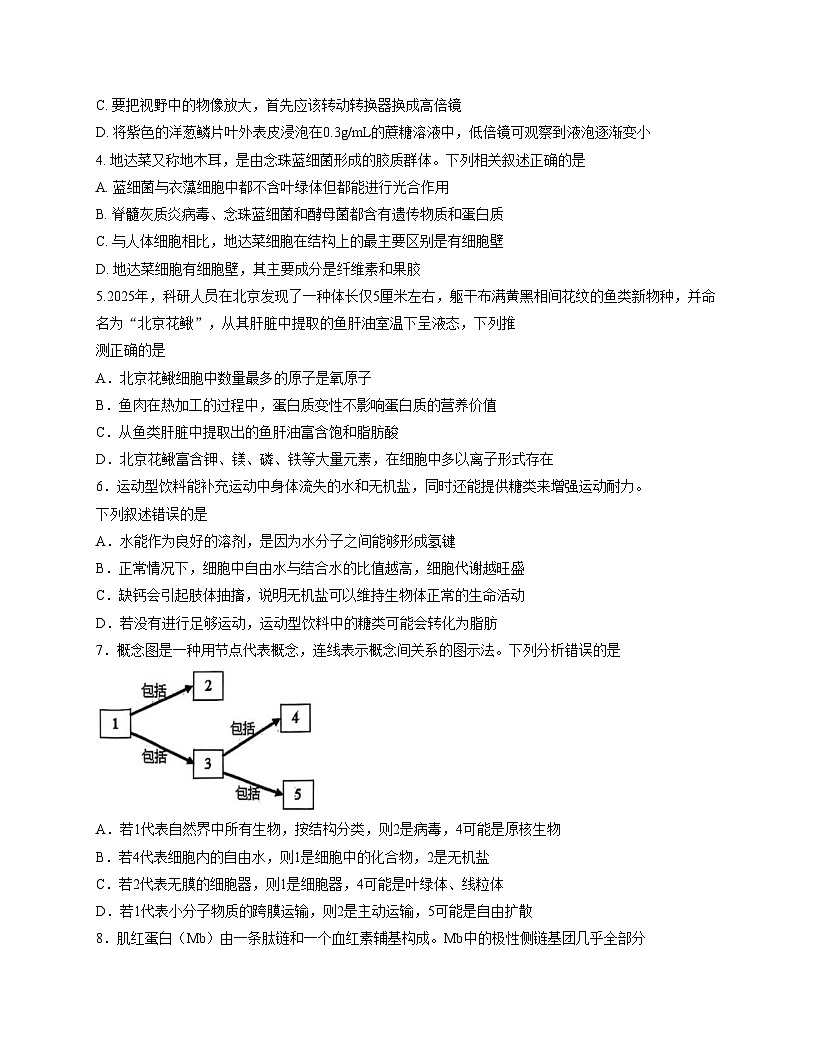 山东济宁市邹城市2025_2026学年高一上学期期中考试生物试题(文字版,含答案)第2页