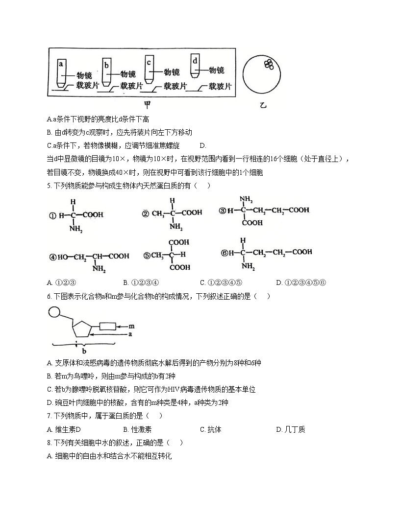 天津市南开区43中2025_2026学年高一上学期期中考试生物试卷(文字版,含答案)第2页