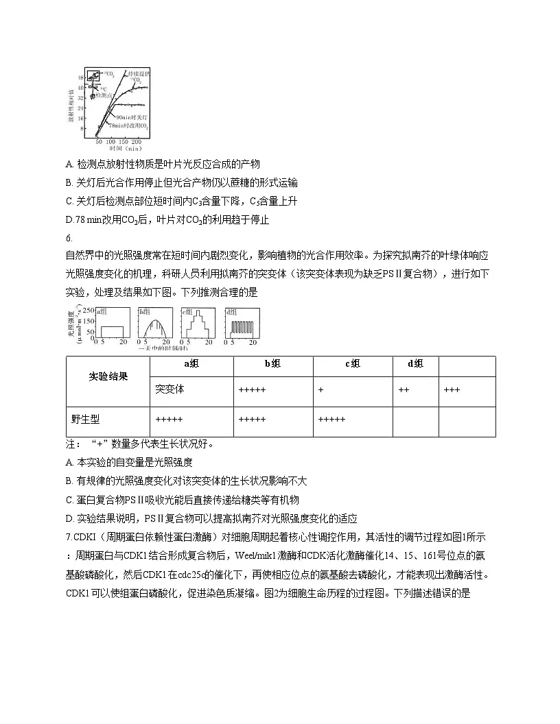 2026届重庆市高三第三次质量检测生物试题(文字版,含答案)第3页