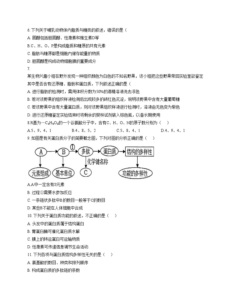 江苏省扬州市第一中学2025_2026学年高一上学期11月期中考试生物试卷(文字版,含答案)第2页