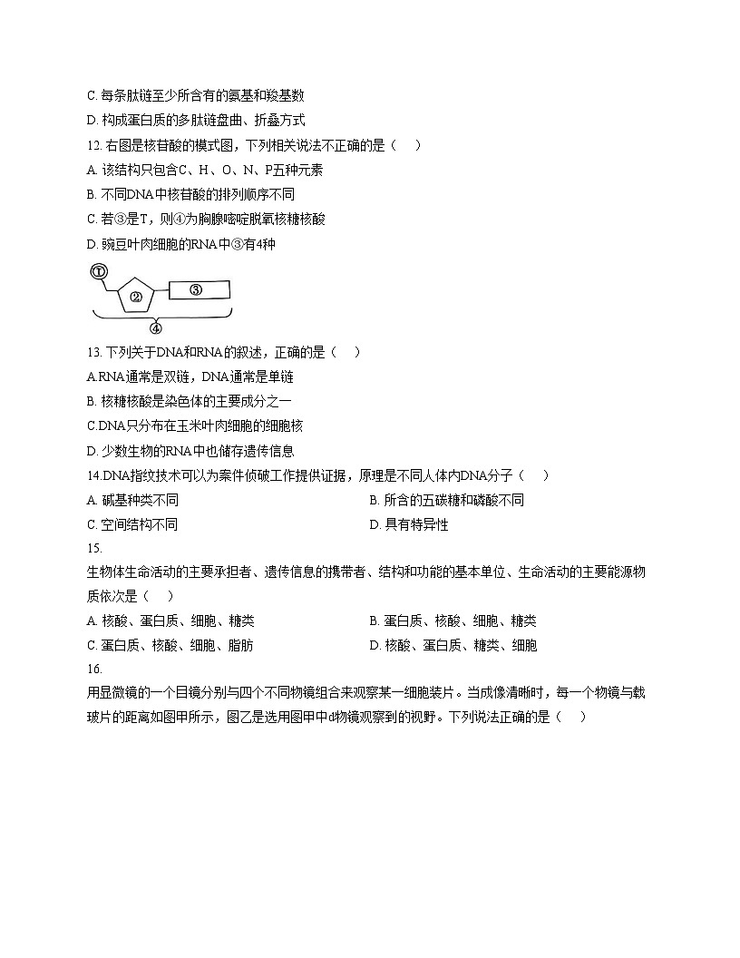江苏省扬州市第一中学2025_2026学年高一上学期11月期中考试生物试卷(文字版,含答案)第3页