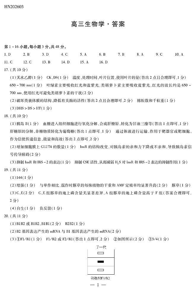 生物学高三素质评价简易答案第1页