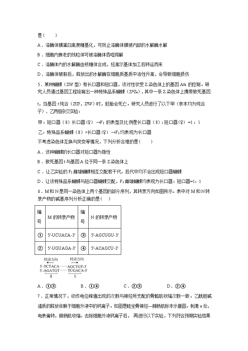 湖南省株洲市芦淞区株洲市南方中学2023级高三下学期2月月考生物试题含答案第2页