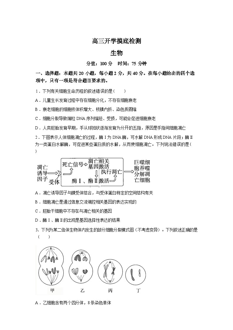 湖南衡阳县第二中学2025--2026学年高三下学期生物开学考试试题含答案第1页