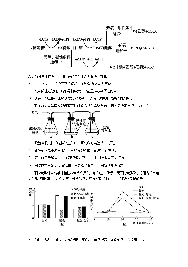 湖南衡阳县第二中学2025--2026学年高三下学期生物开学考试试题含答案第3页