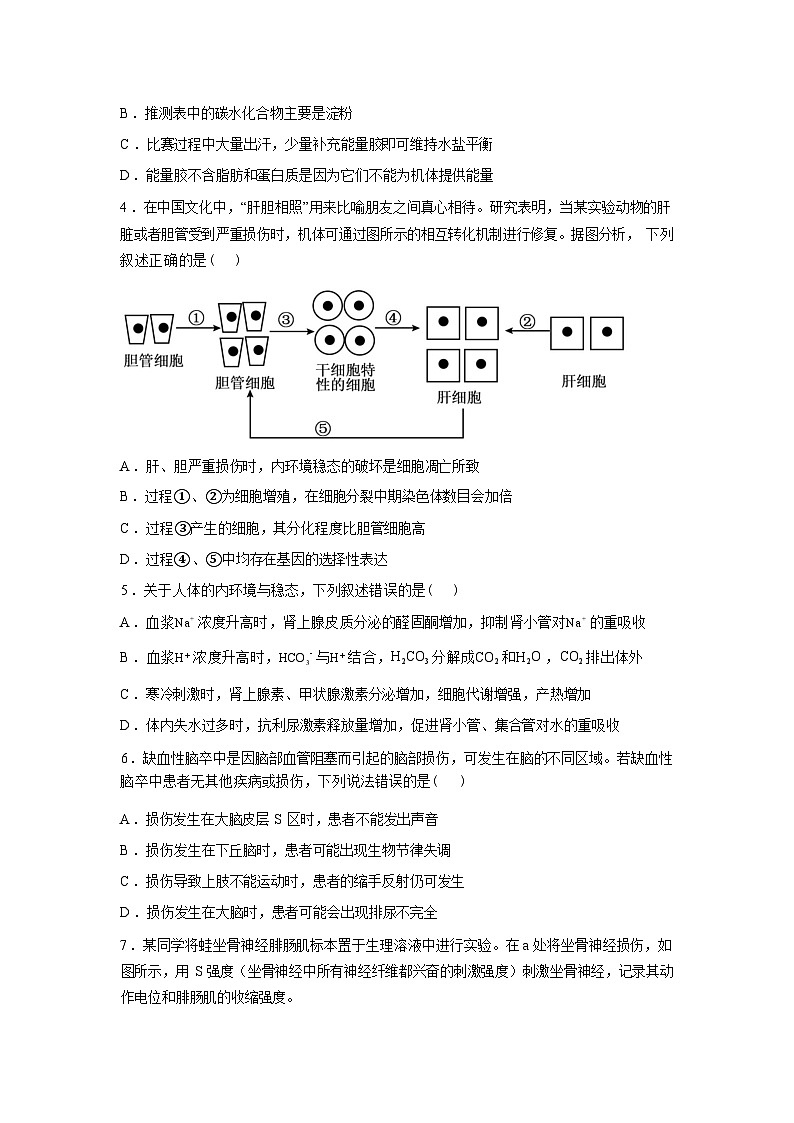 湖南衡阳市第八中学2025-2026学年高二下学期开学考试生物试卷含答案第2页