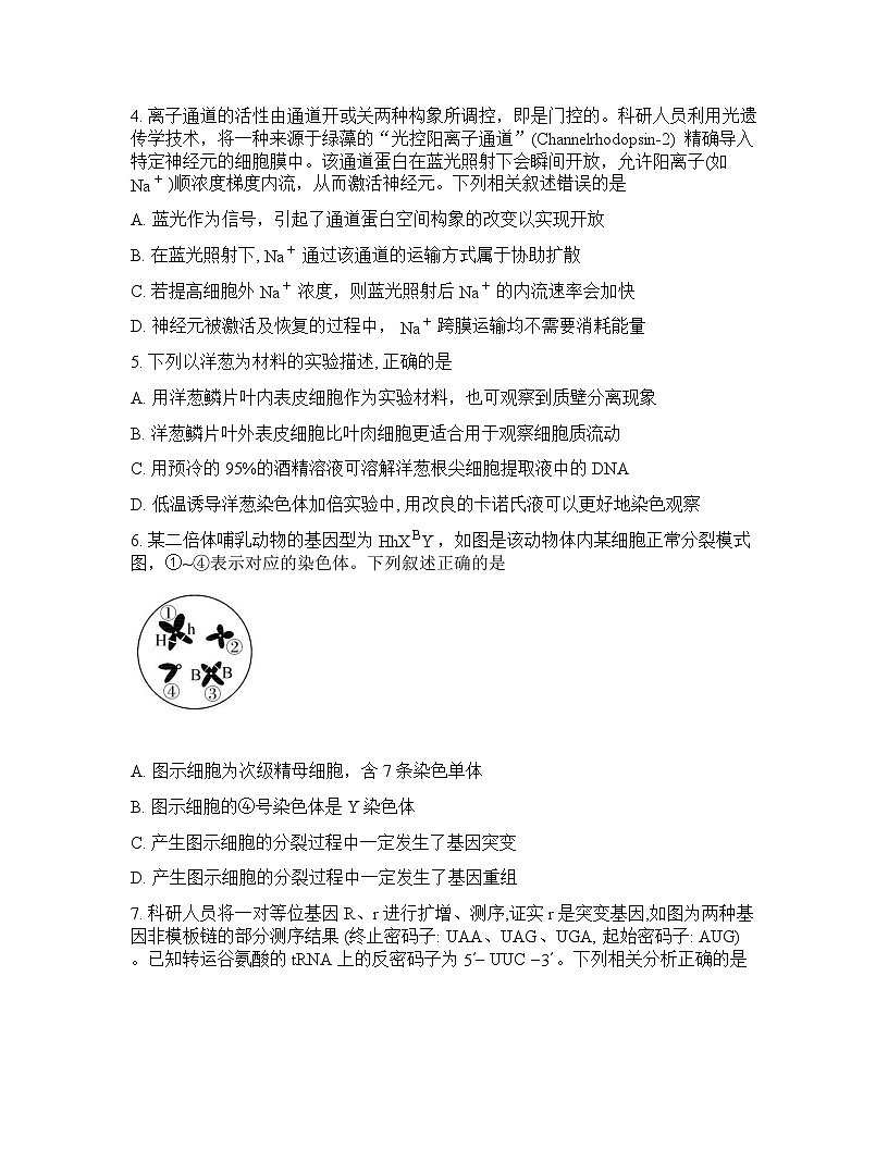 四川省大数据联盟2025-2026学年下学期年高三3月开学考试生物学试卷含答案第2页