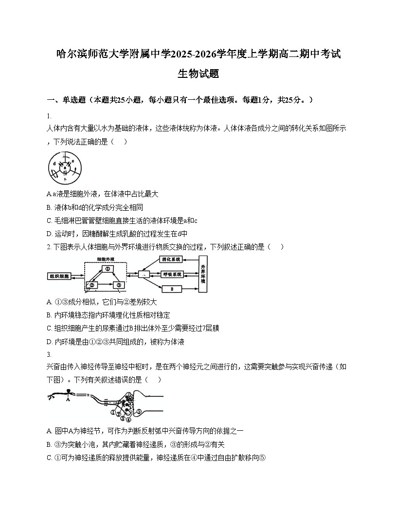 黑龙江省哈尔滨师范大学附属中学2025_2026学年高二上学期期中考试生物试题(文字版,含答案)第1页