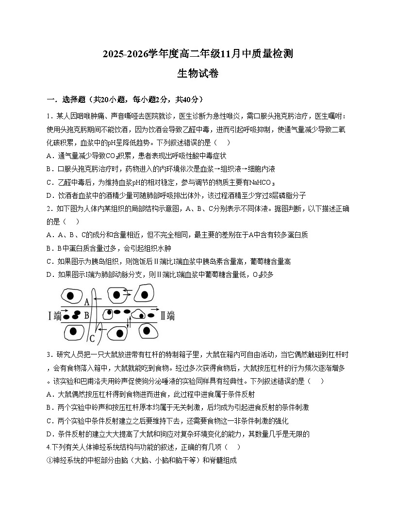 河南省信阳市光山县第二高级中学2025_2026学年高二上学期11月期中生物试题(文字版,含答案)第1页