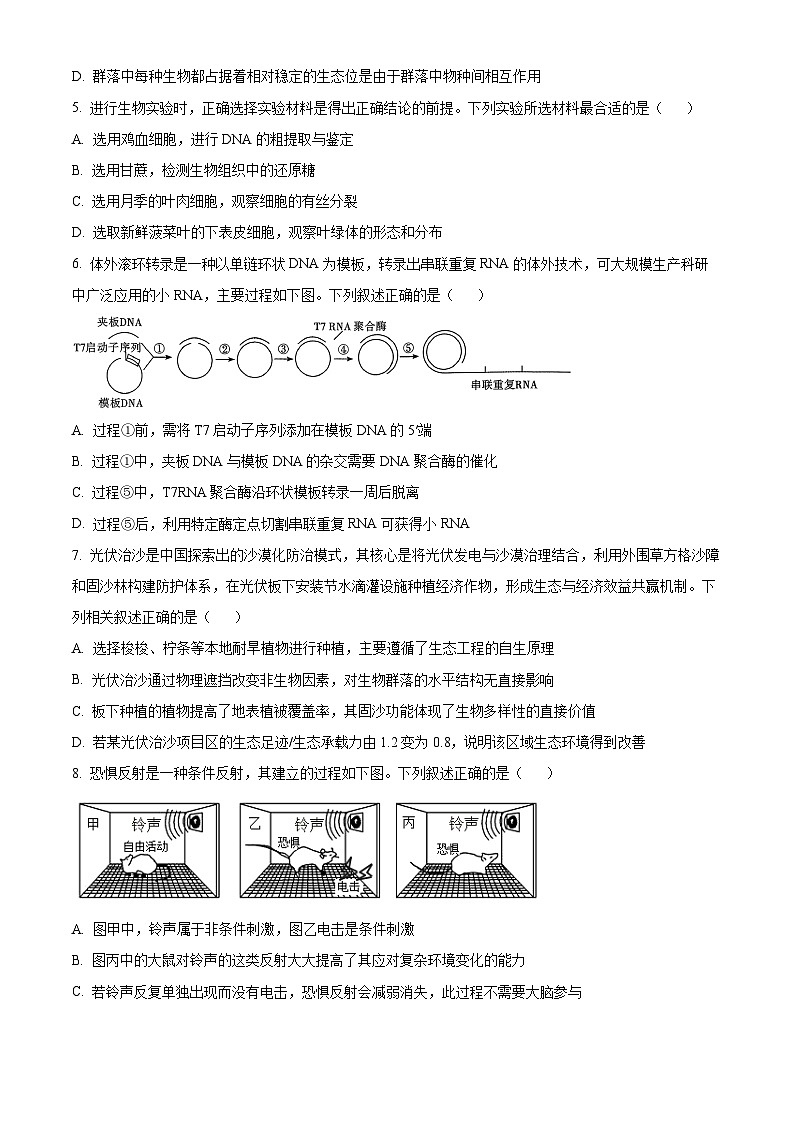 湖南省怀化市2026届高三下学期一模生物试题(Word版附答案)第2页