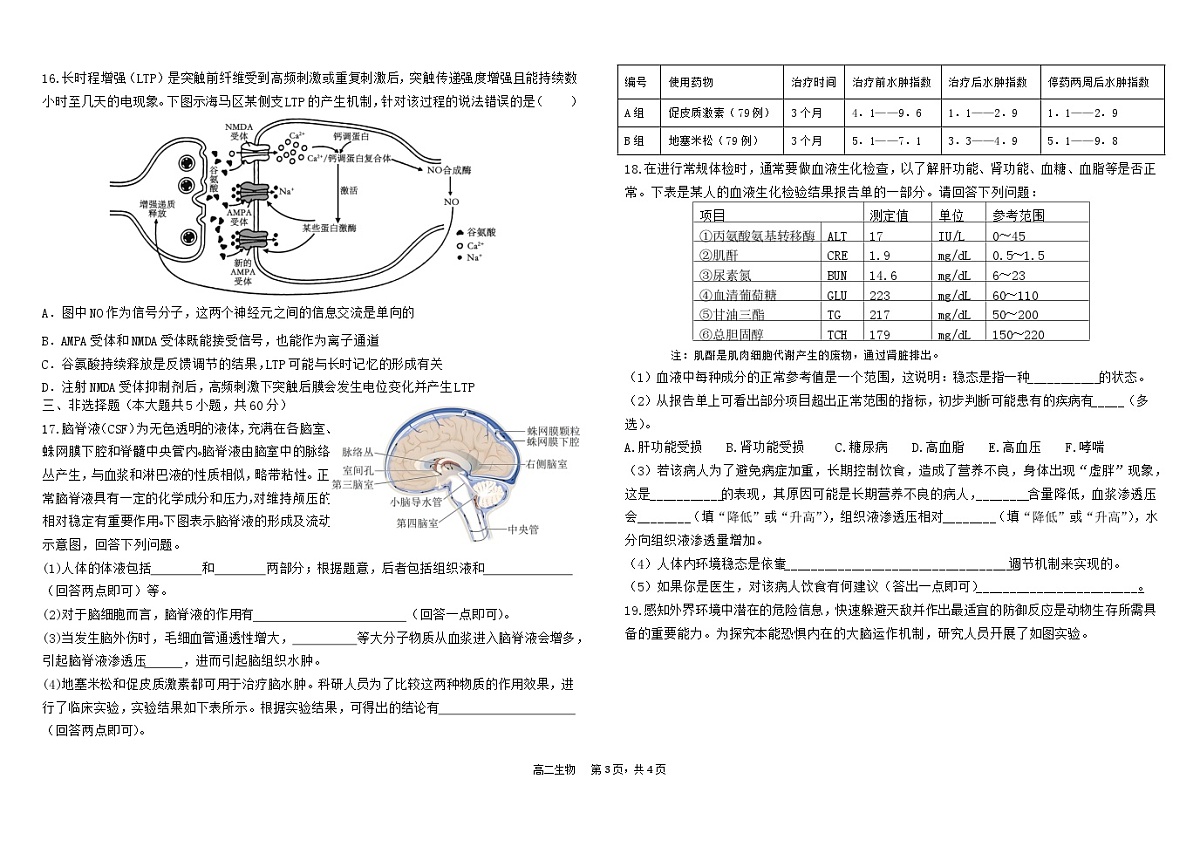 江西省南昌市第三中学2024-2025学年高二上学期10月月考生物试题第3页