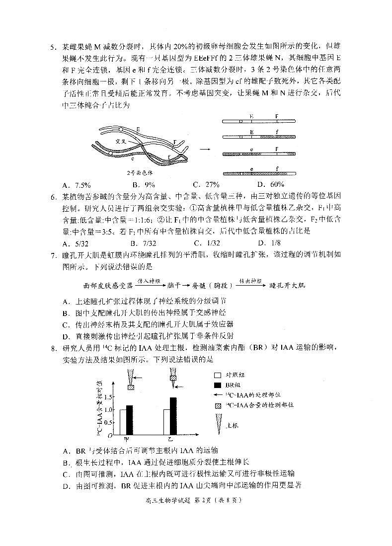 山东省日照市2023级高三模拟考试 生物第2页