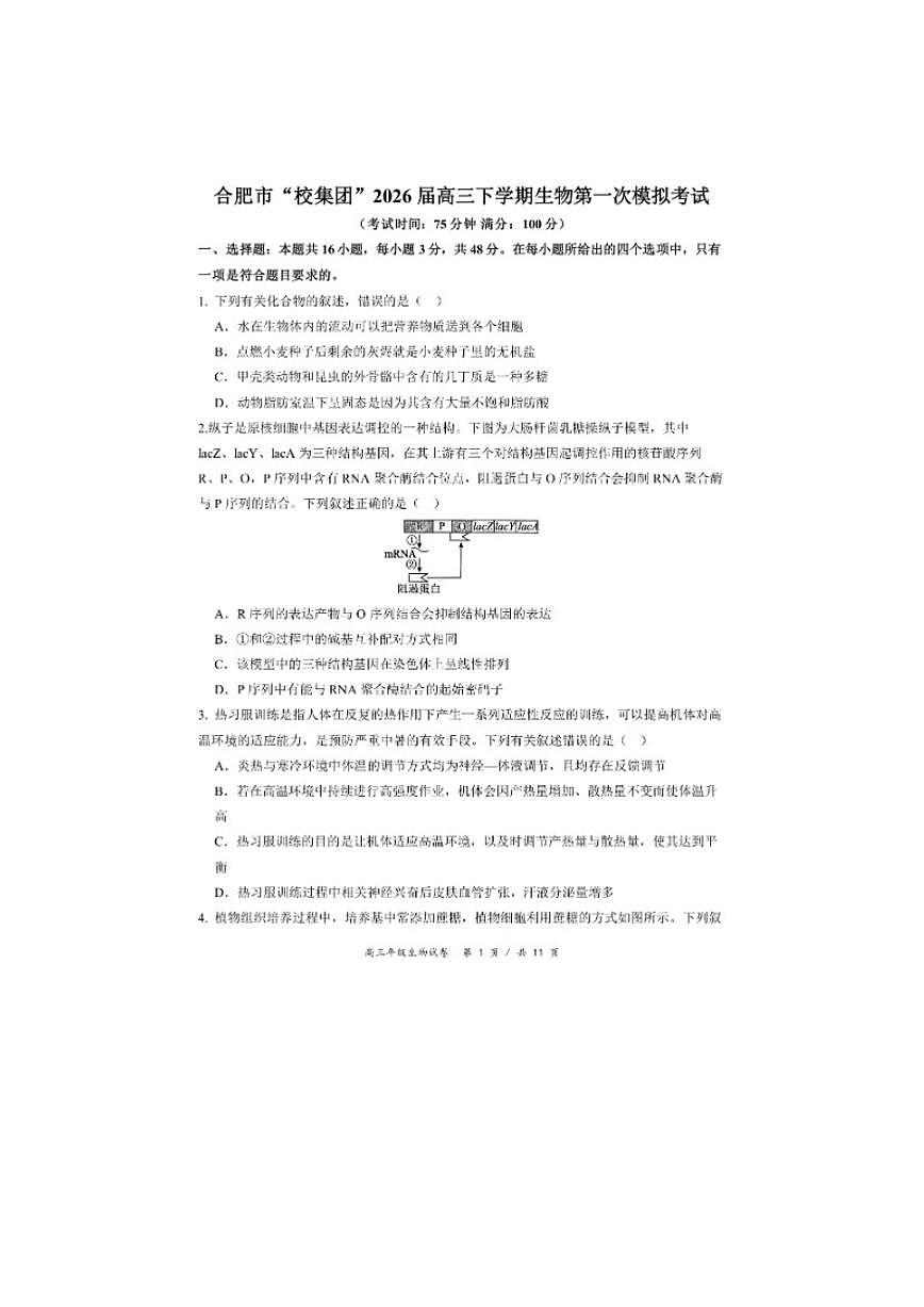 2026届安徽合肥市“校集团”高三下学期生物第一次模拟考试(含答案)第1页
