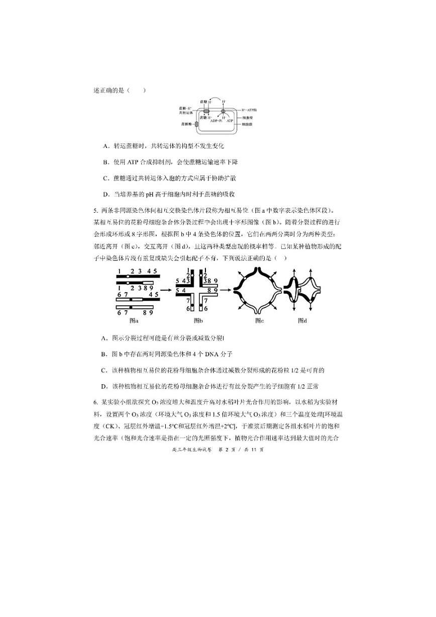 2026届安徽合肥市“校集团”高三下学期生物第一次模拟考试(含答案)第2页