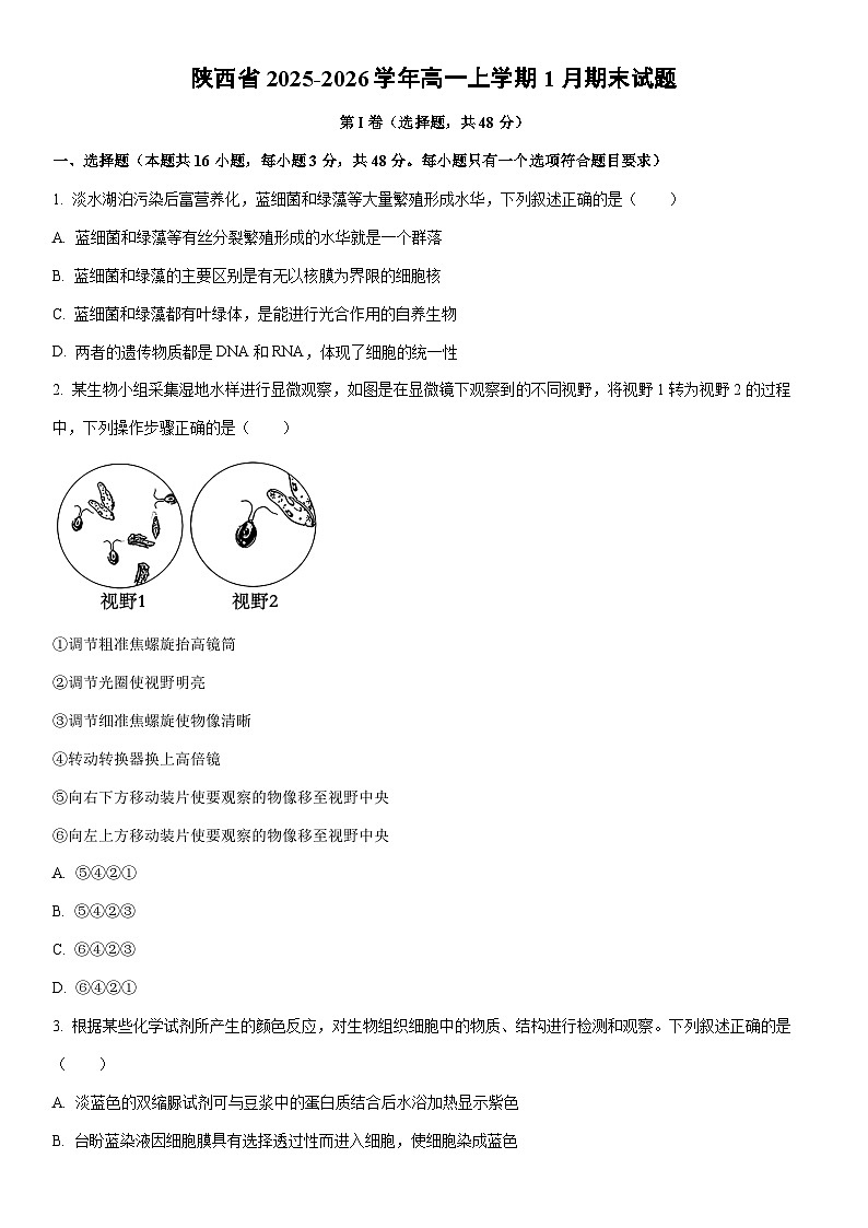 2025-2026学年陕西省高一上学期1月期末生物试卷(学生版)第1页