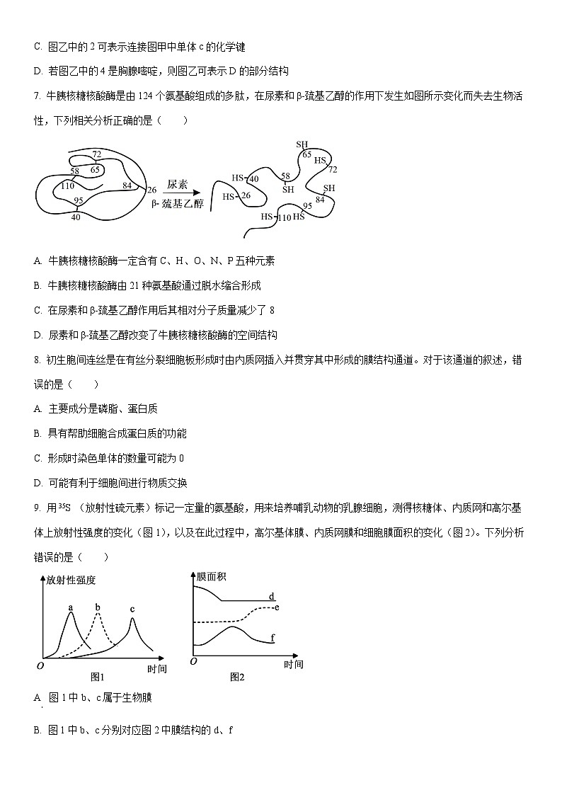 2025-2026学年陕西省高一上学期1月期末生物试卷(学生版)第3页