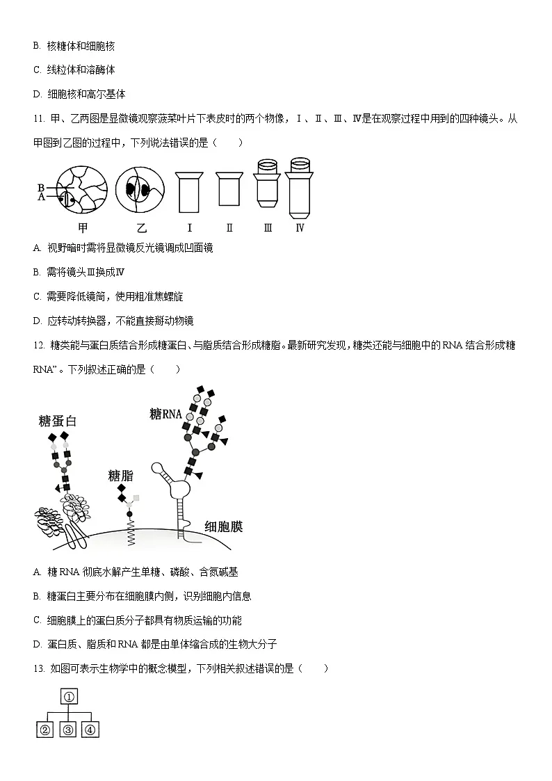 2025-2026学年重庆市主城高一上学期期末考试生物试卷(学生版)第3页