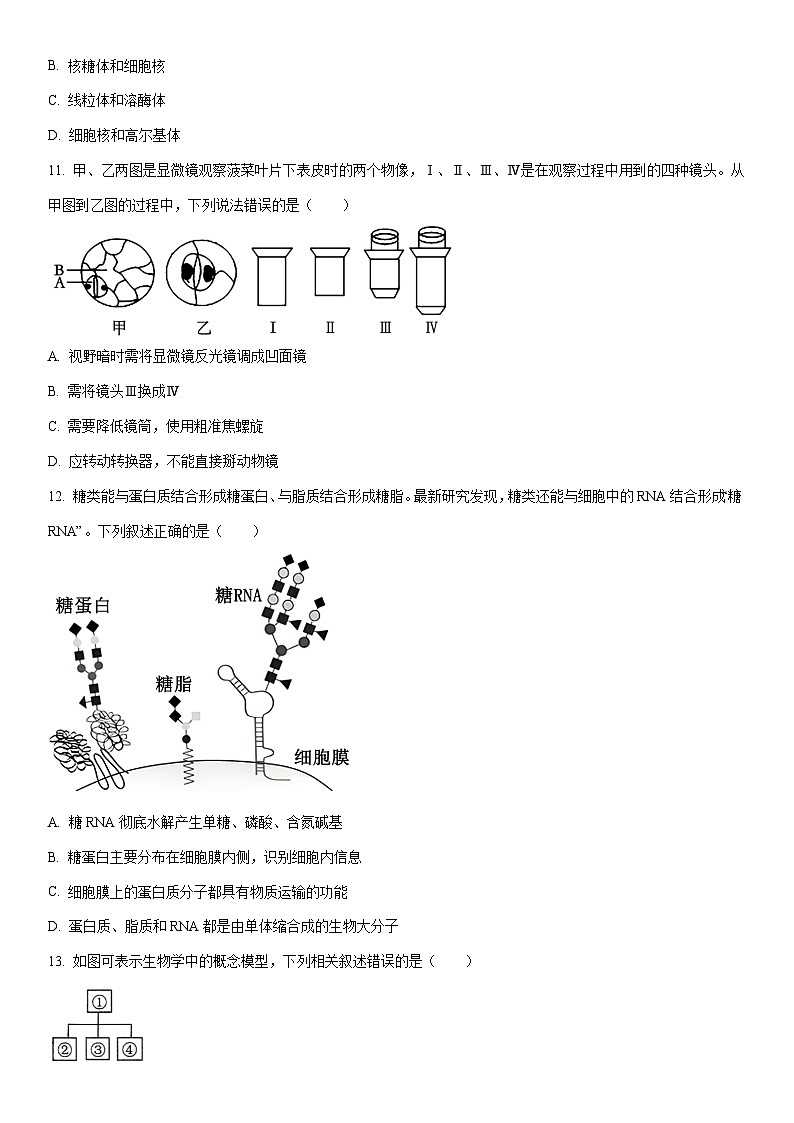 2025-2026学年重庆市主城高一上学期期末考试生物试卷(学生版)第3页