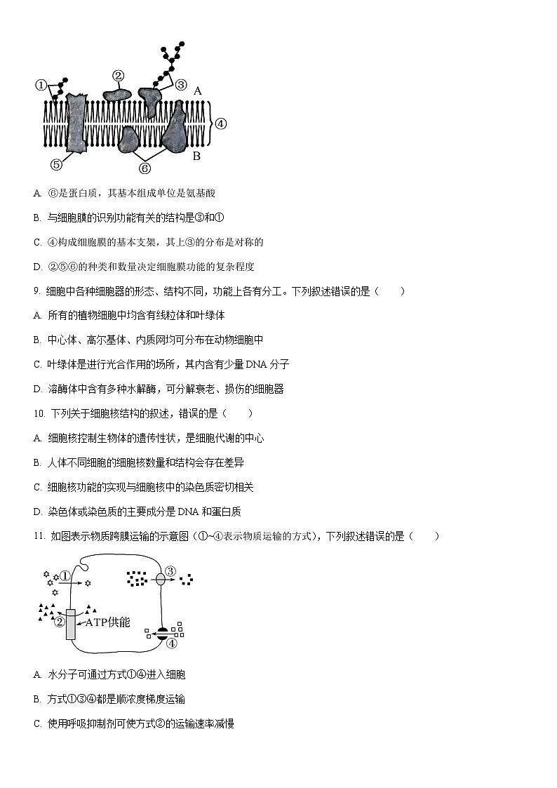 2025-2026学年河南省南阳高一上学期期末素质评价生物试卷(学生版)第3页