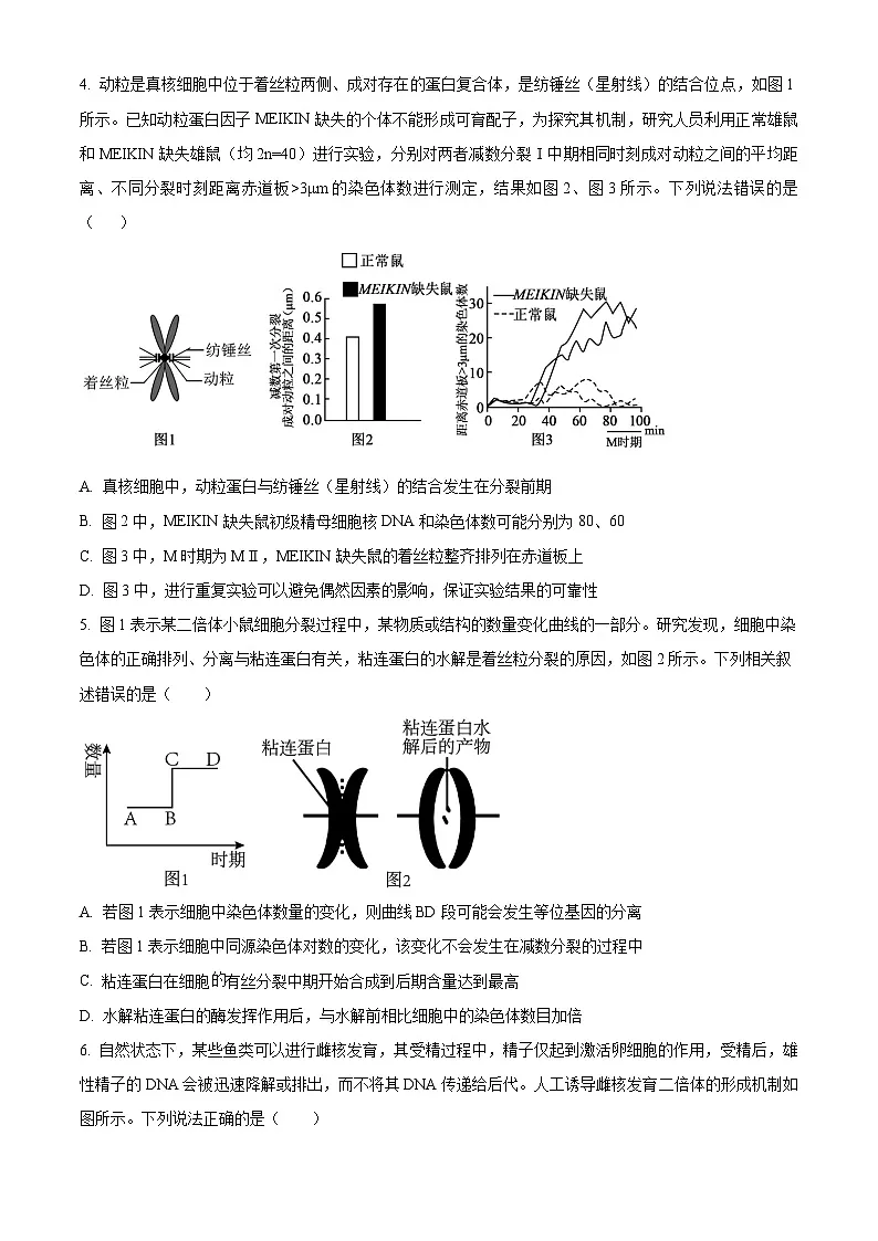 四川省成都市第七中学2025—2026学年高三下学期周测生物试题(二)(原卷版)第2页
