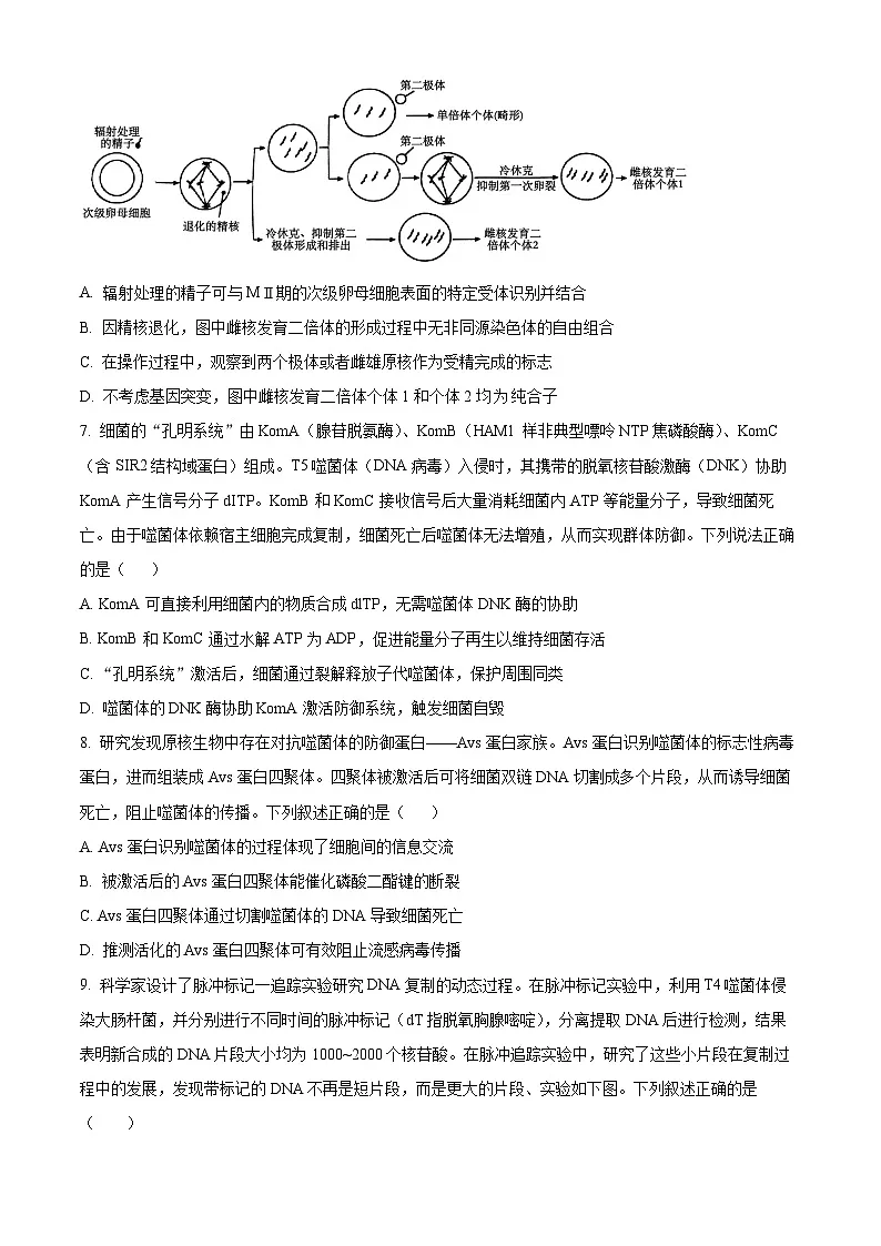 四川省成都市第七中学2025—2026学年高三下学期周测生物试题(二)(原卷版)第3页