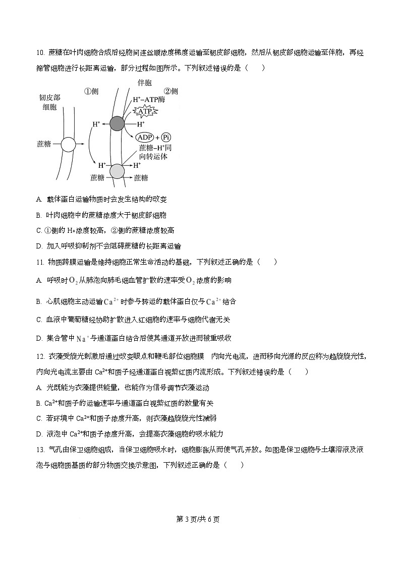 四川省成都市第七中学2025—2026学年高三下学期周测生物试题(一)(原卷版)第3页